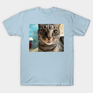 Close Up Kitty T-Shirt